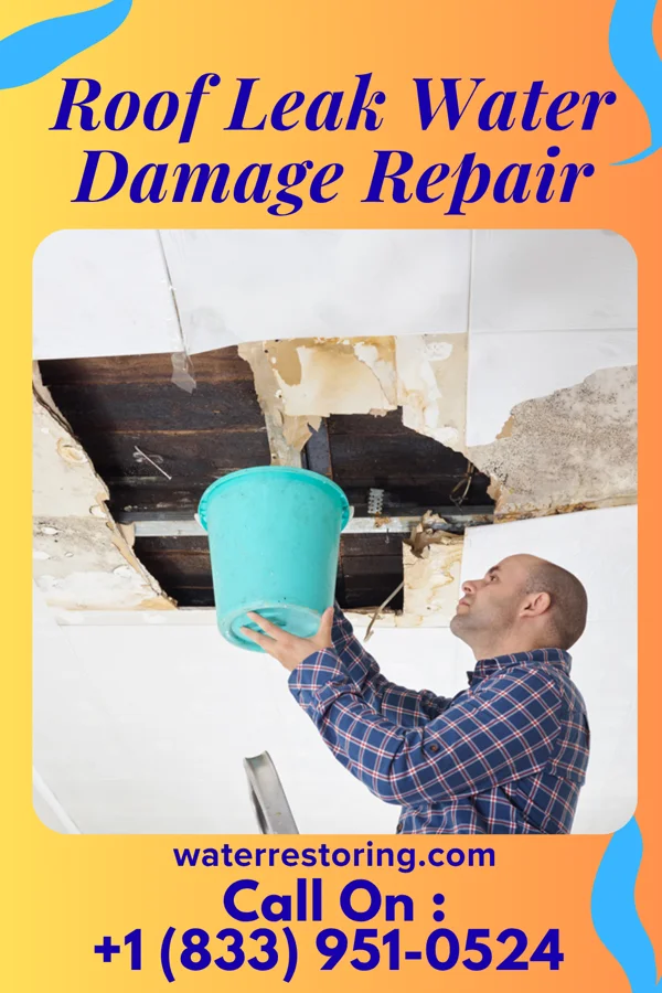 Roof Leak Water Damage Repair in Mulberry Grove, IL
